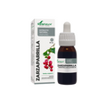 Zarzaparrilla - gotas 50ml